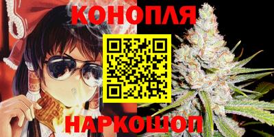 индика Беслан
