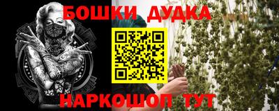 индика Беслан