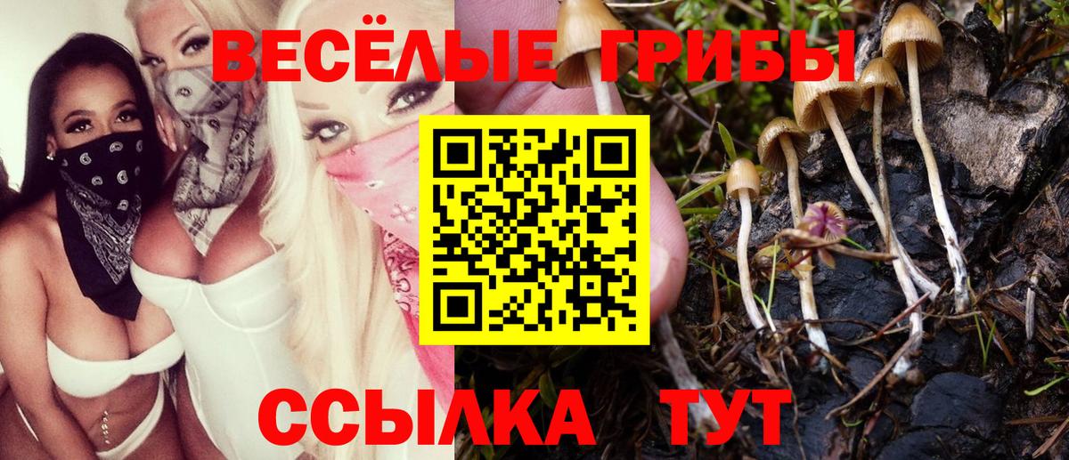 Псилоцибиновые грибы ЛСД  Вход с VPN  Ишимбай 